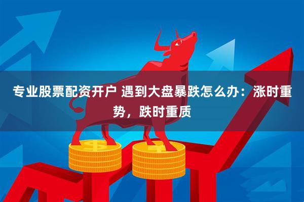 专业股票配资开户 遇到大盘暴跌怎么办：涨时重势，跌时重质