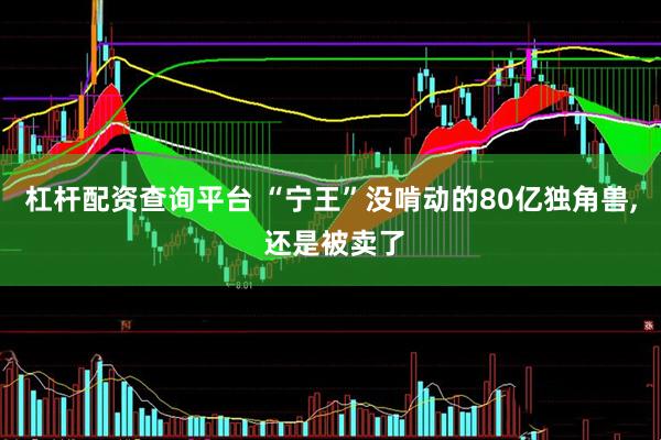 杠杆配资查询平台 “宁王”没啃动的80亿独角兽, 还是被卖了