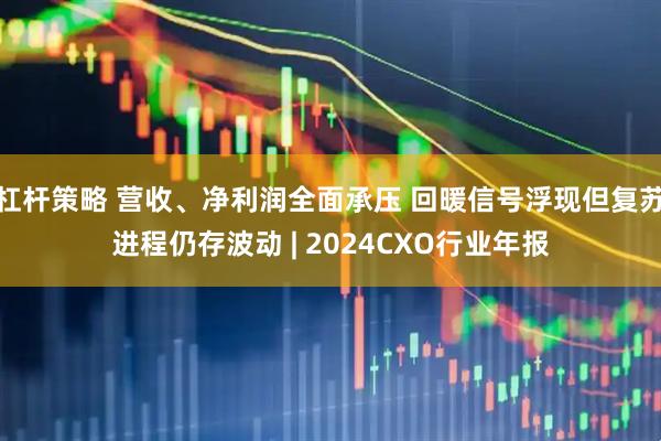 杠杆策略 营收、净利润全面承压 回暖信号浮现但复苏进程仍存波动 | 2024CXO行业年报
