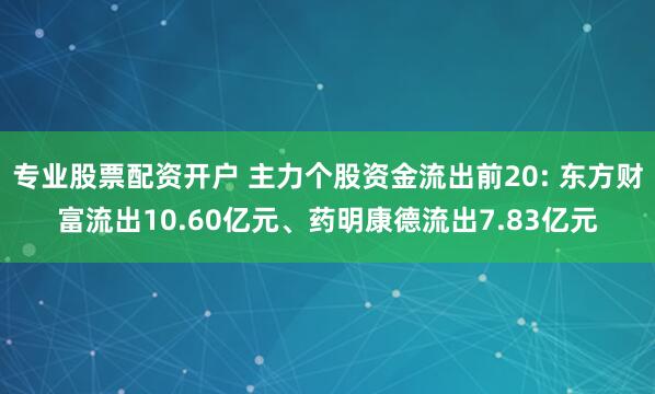 专业股票配资开户 主力个股资金流出前20: 东方财富流出10.60亿元、药明康德流出7.83亿元
